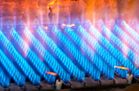 Burton Green gas fired boilers